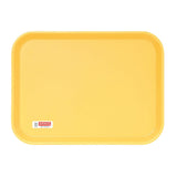 Penco Plastic Tray - Medium