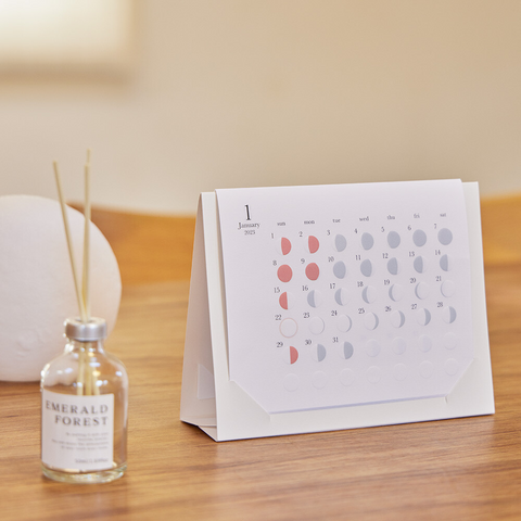 Replug 2024 Mini Moon Desk Calendar