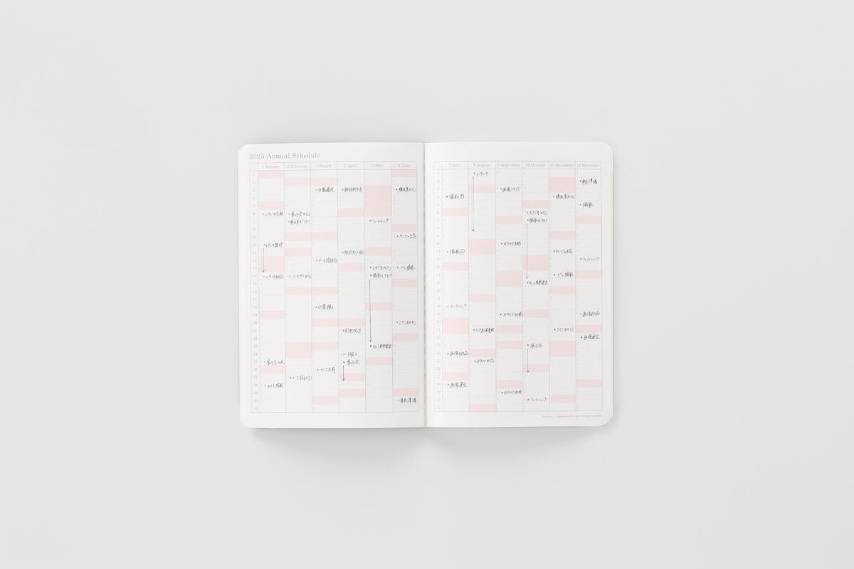 Stalogy 2025 Monthly Diary - B6 Slim