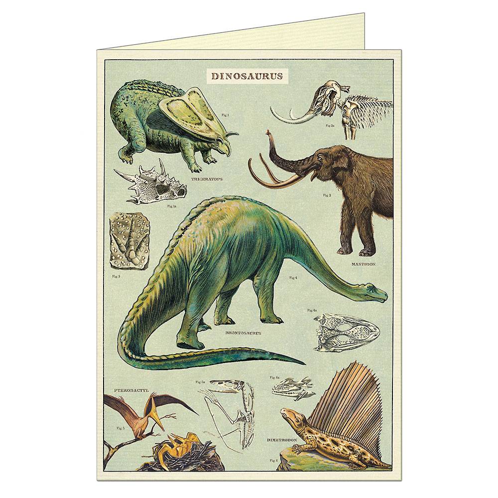 Dinosaurs - Greeting Card