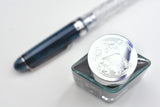 Platinum Century 3776 Fountain Pen - Fuji Unkei - Uroko-Gumo