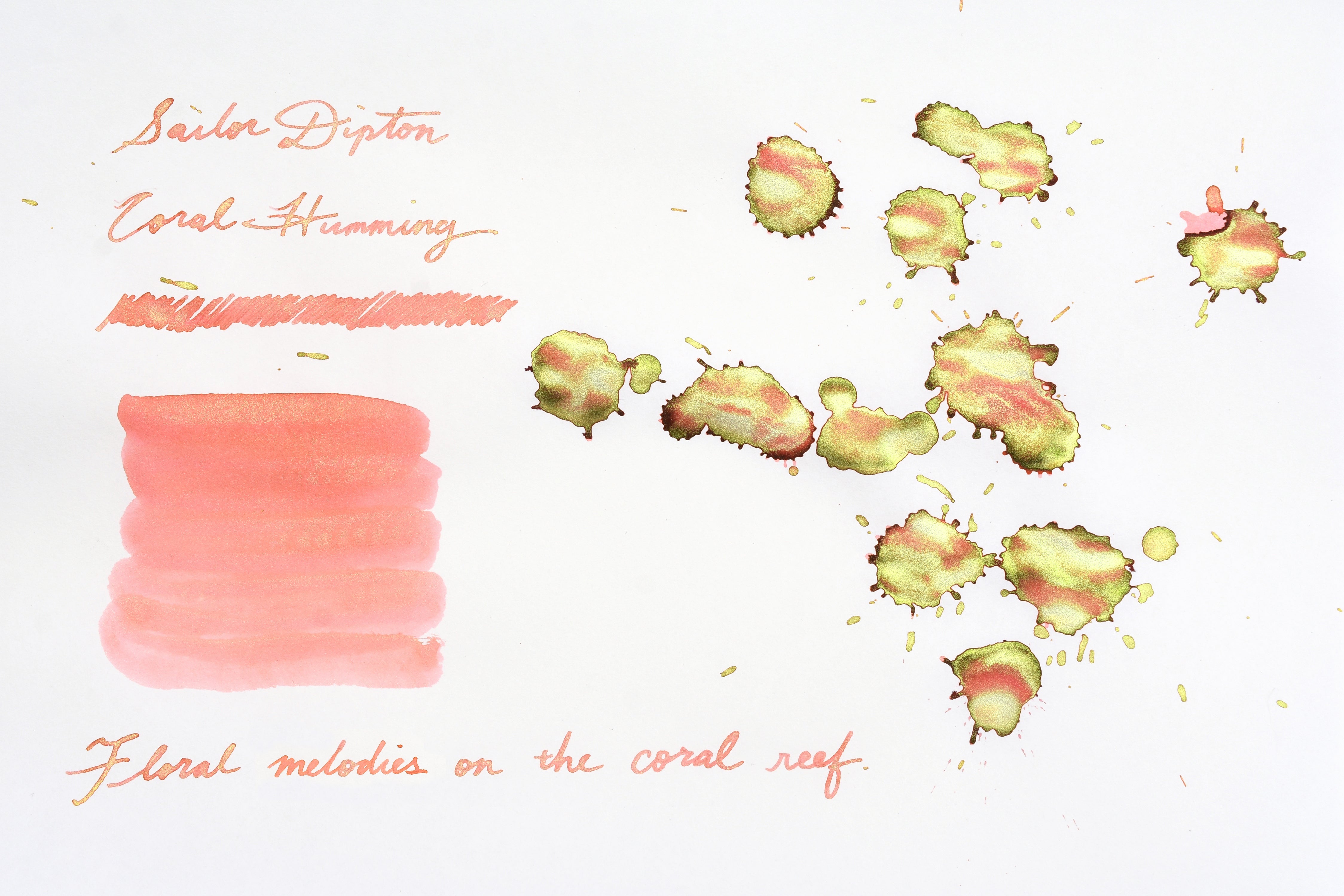 Sailor Dipton Shimmering Ink - Coral humming - 20mL Bottle