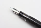 Sailor Pro Gear Fountain Pen - Pen of the Year 2024 Celestial Gray