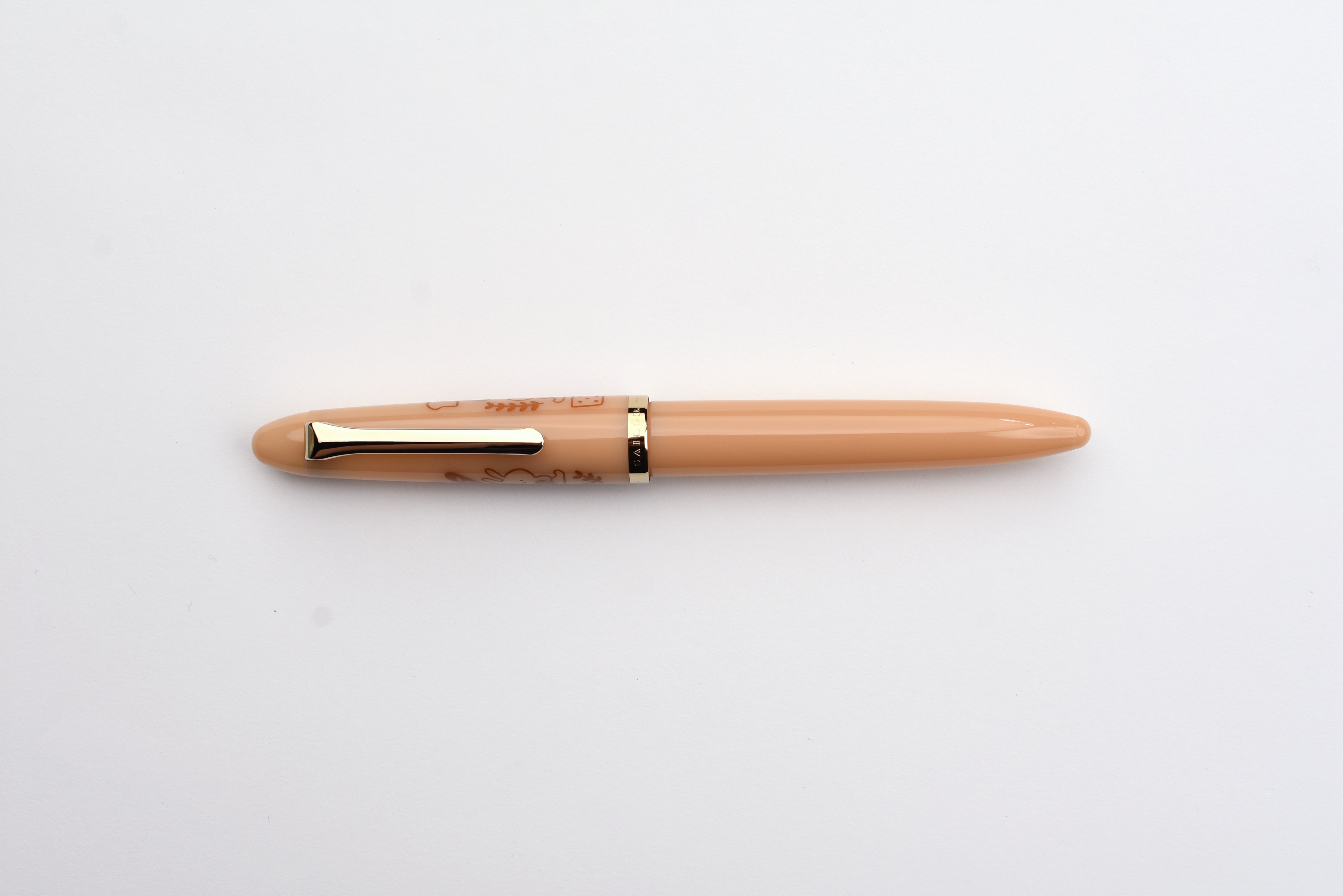 Sailor Profit Junior x mizutama Fountain Pen - Limited Edition - Kohiru