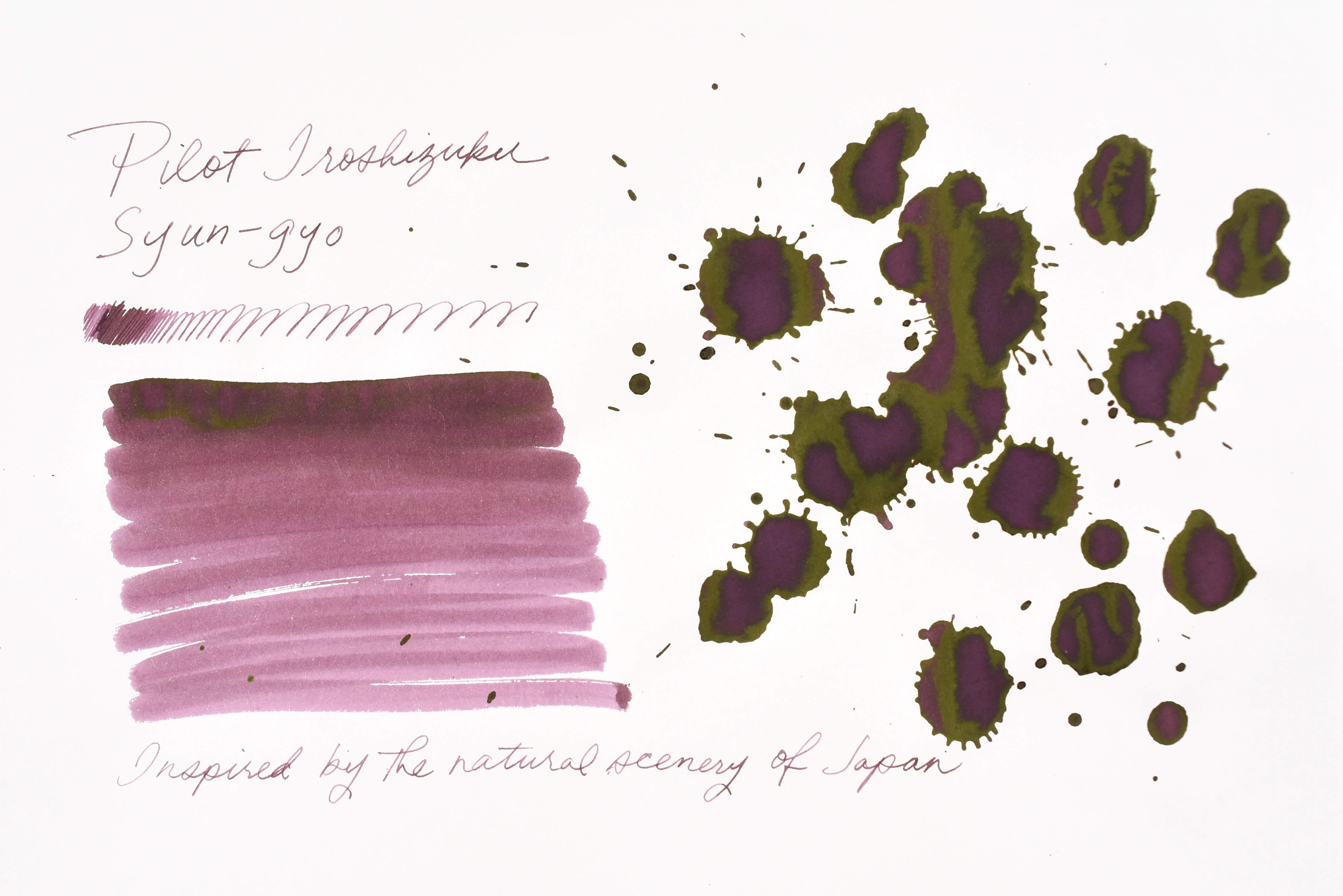 Pilot Iroshizuku Ink - Syun-Gyo - 15 mL Bottle Ink