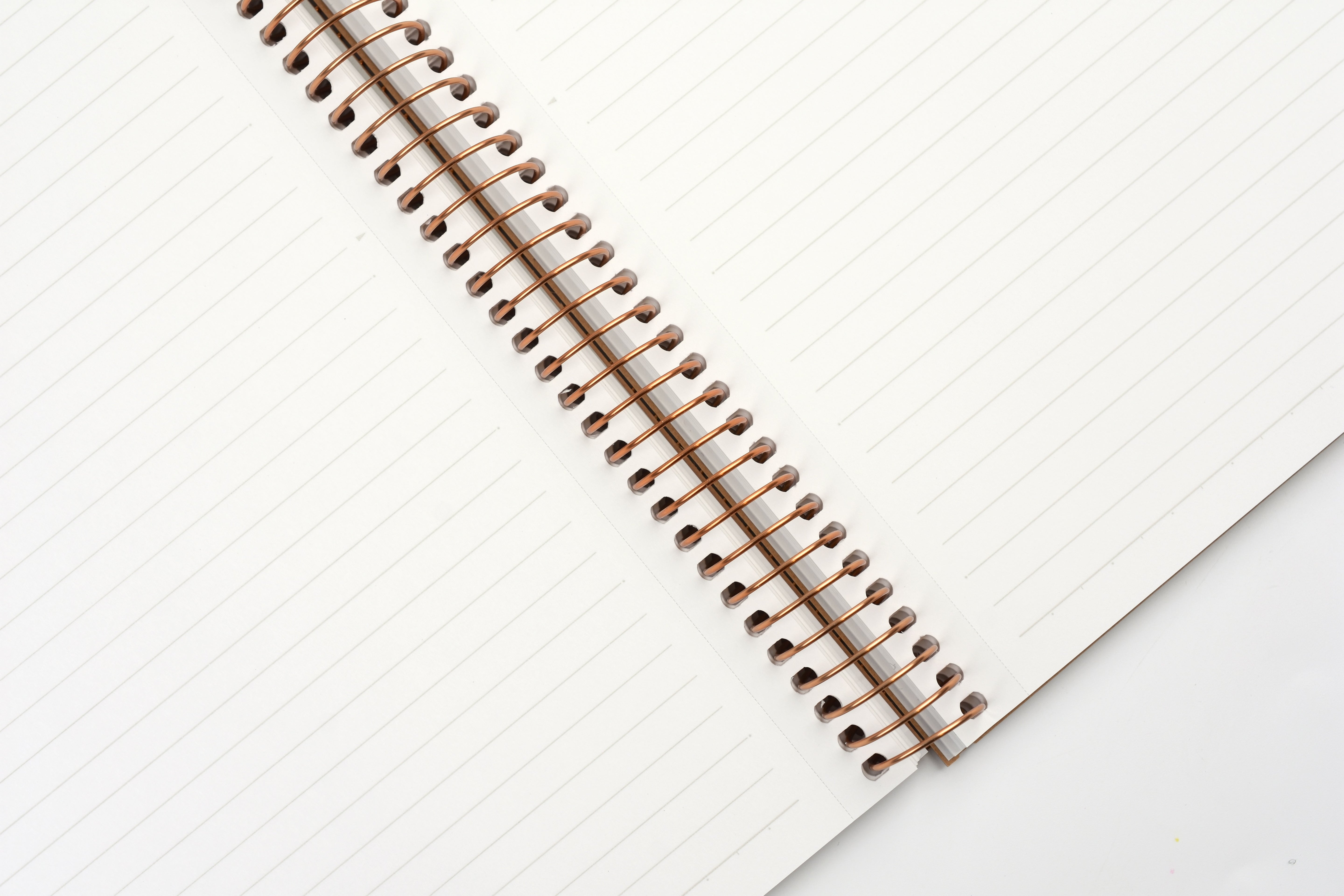 Maruman Basic Spiral Ring Notebook - B5 - Ruled  - 150 Sheets