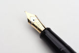 Pilot Namiki Chinkin Fountain Pen - Pine Tree