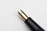 Pilot Namiki Chinkin Fountain Pen - Cat