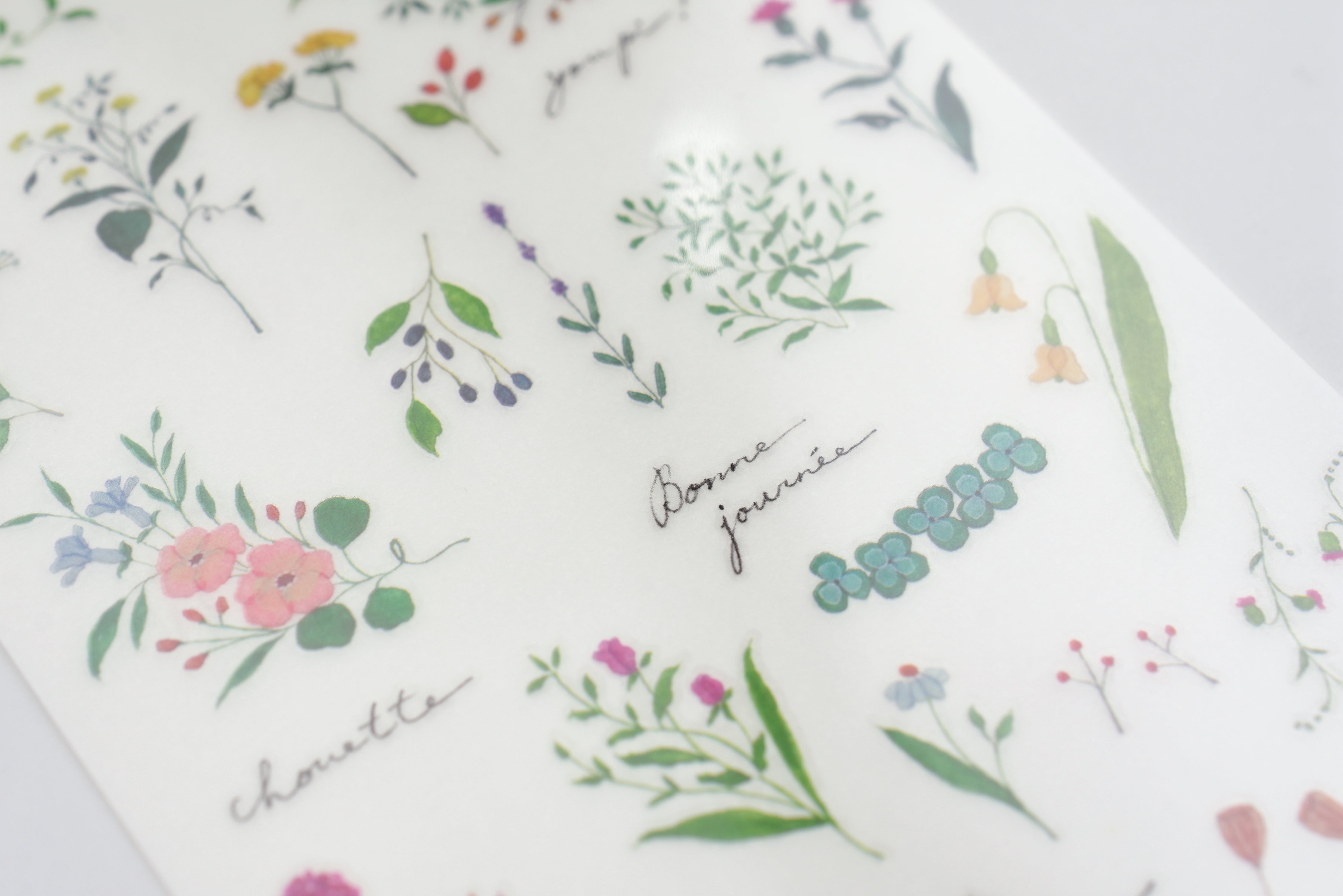 Midori Transfer Stickers for Journaling - Flowering Plants Motifs