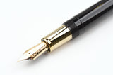 Sailor Pro Gear Fountain Pen - Roppongi Gold