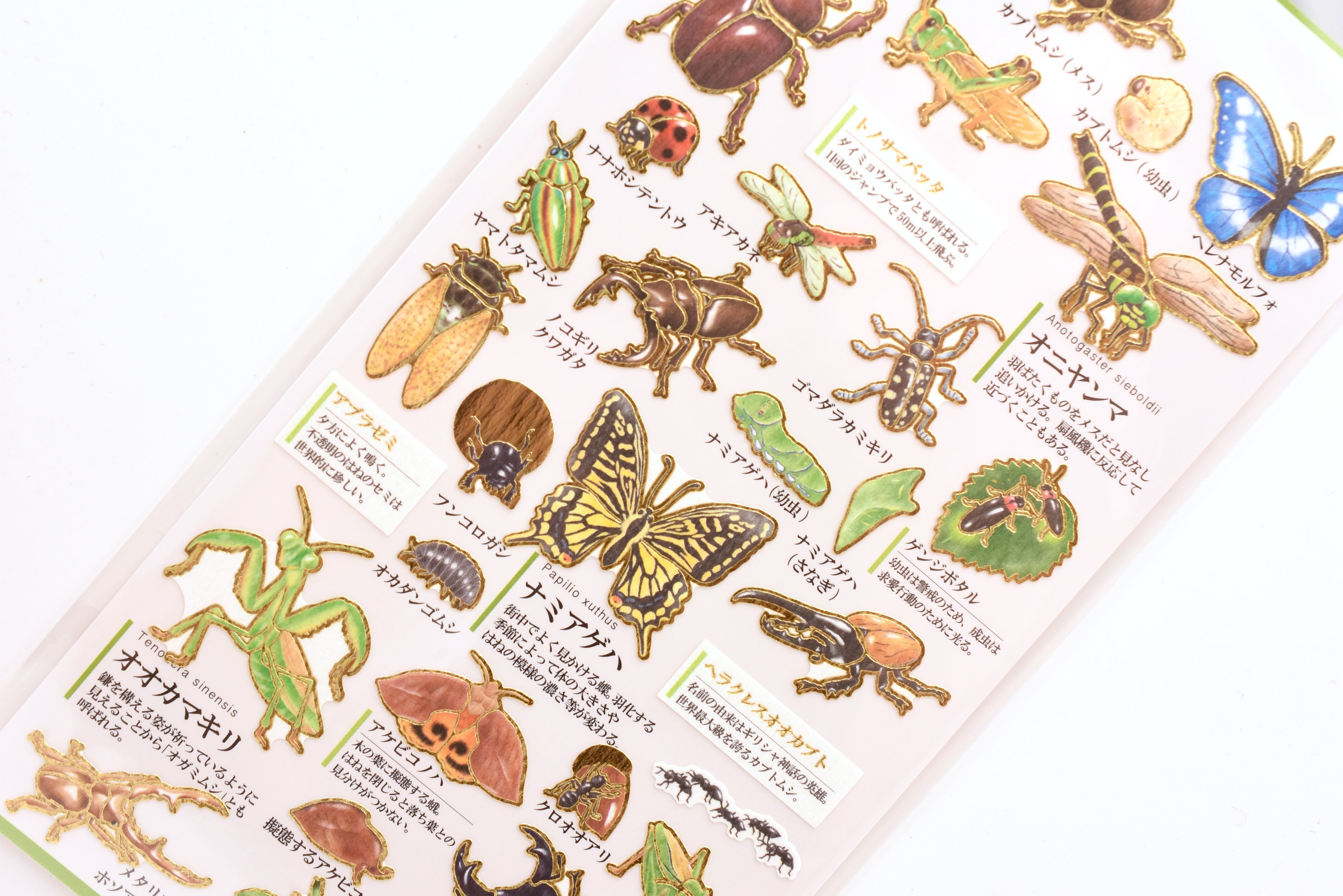 Kamio Illustrated Picture Book Stickers - Insects