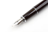 Pilot Prera Fountain Pen - Brown