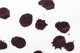 Pilot Iroshizuku Ink - Take-sumi - 50 mL Bottle Ink