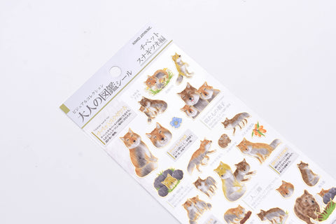 Kamio Illustrated Picture Book Stickers - Tibetan Sand Fox