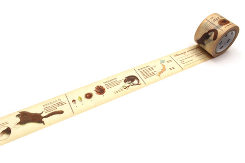 mt Washi Tape - Encyclopedia / Flying Squirrel