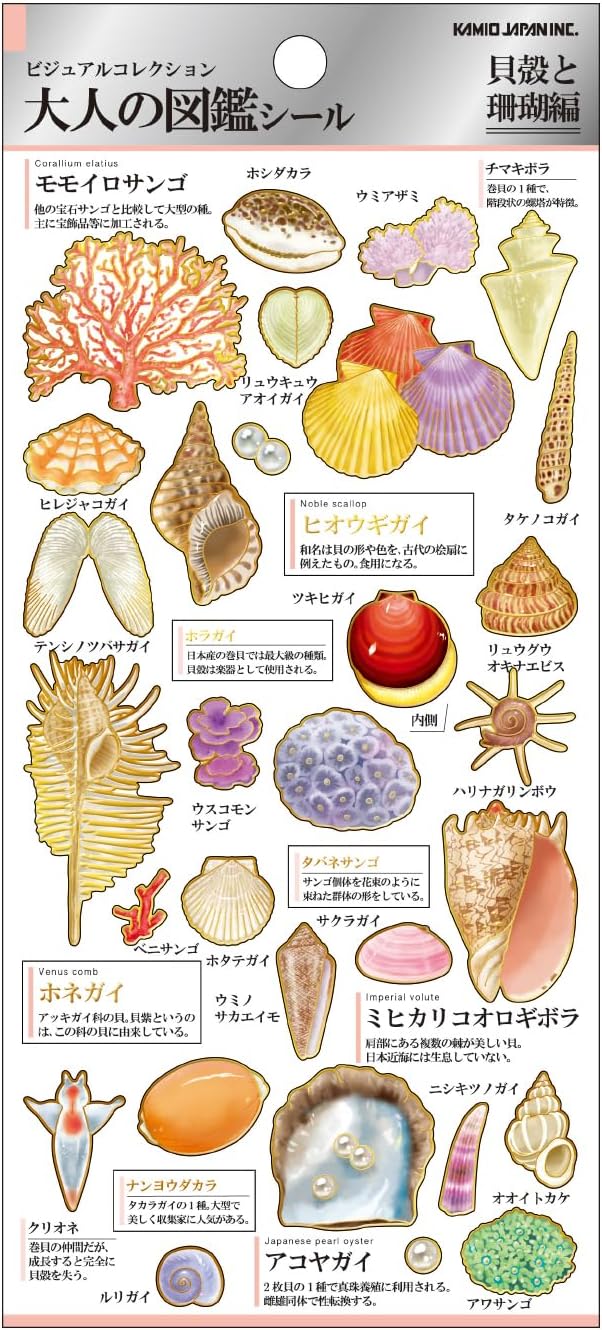 Kamio Adult Illustrated Picture Book Stickers - Shells and Corals