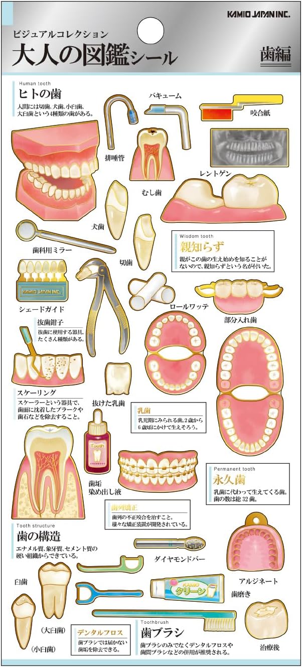 Kamio Adult Illustrated Picture Book Stickers - Teeth