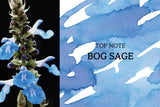 Dominant Industry - Twilight Garden Scented Ink - Bog Sage (Coming Soon)