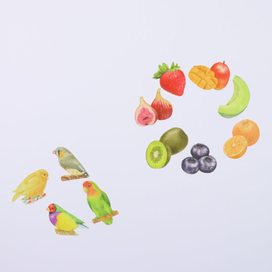 Birds & Fruits