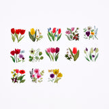 Bande Flower Wreath Tulip