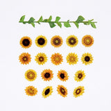 Bande Masking Art Kit - Sunflower