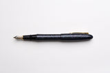 Platinum Izumo Urushi Fountain Pen - Raden Galaxy