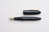 Platinum Izumo Urushi Fountain Pen - Raden Galaxy