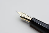 Pilot Namiki Nippon Art Maki-e Fountain Pen - Golden Pheasant