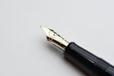 Pilot Namiki Nippon Art Maki-e Fountain Pen - Crane and Turtle