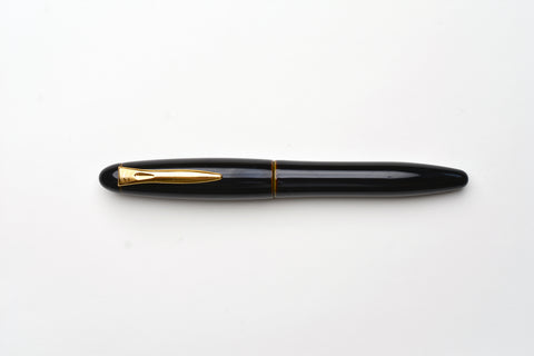 Platinum Izumo Tamenuri Fountain Pen - Biwatame Tan