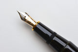 Platinum Izumo Tamenuri Fountain Pen - Soratame Green