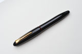 Platinum Izumo Tamenuri Fountain Pen - Akatame Red