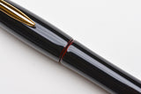 Platinum Izumo Tamenuri Fountain Pen - Akatame Red