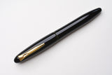 Platinum Izumo Tamenuri Fountain Pen - Soratame Green