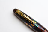 Platinum Izumo Urushi Maki-e Fountain Pen - Aurora