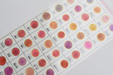 Kamio Color Tracing Stickers with Gold Foil Border