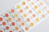 Kamio Color Tracing Stickers with Gold Foil Border