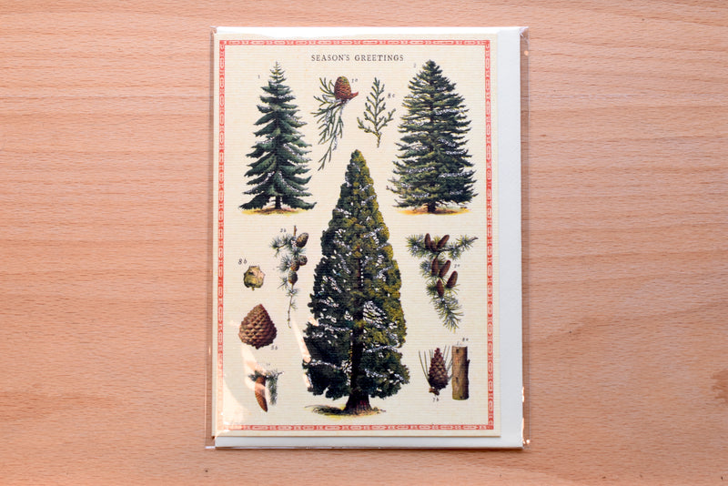 Christmas Trees Greeting Card