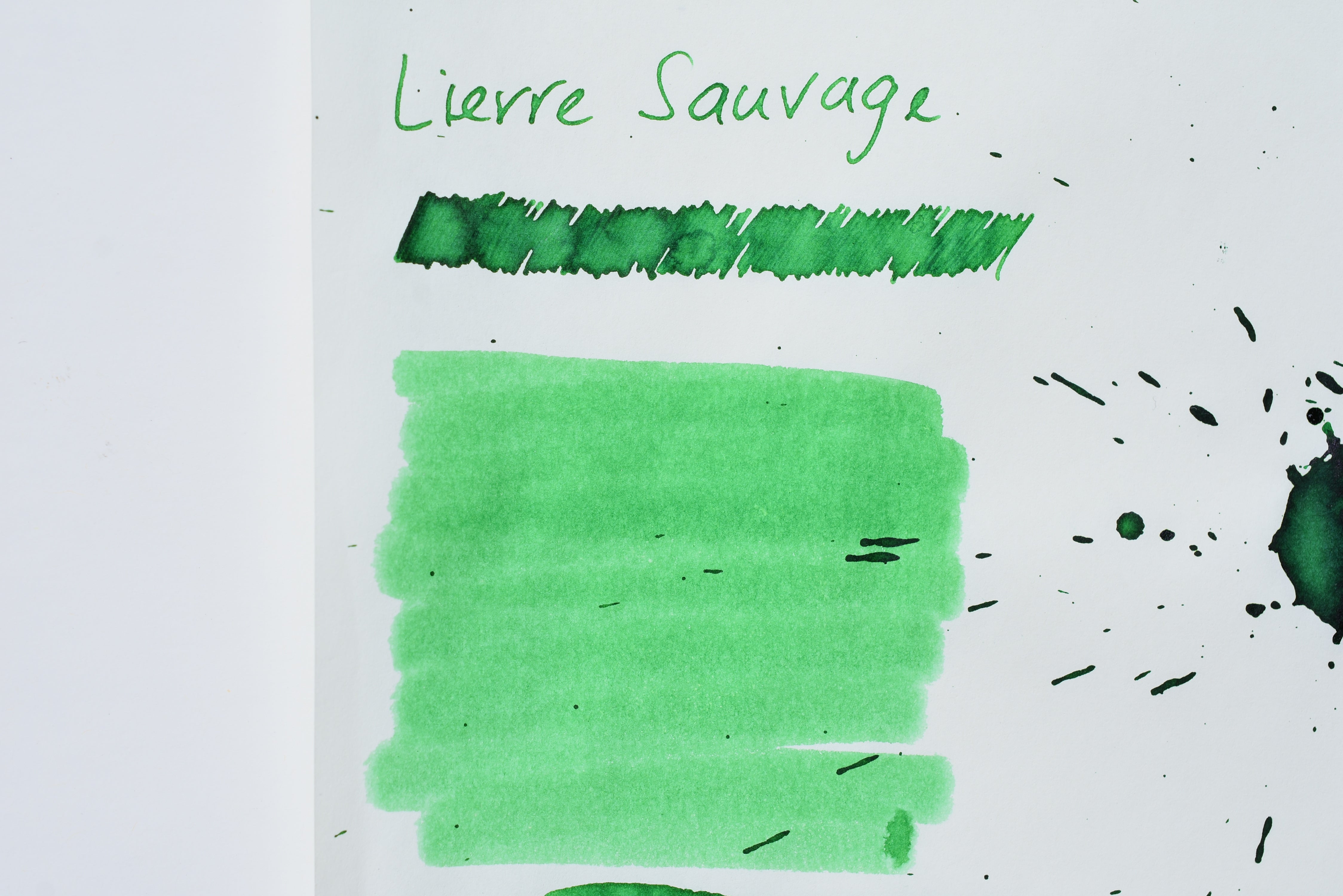 J. Herbin Ink - Lierre Sauvage - 10 mL