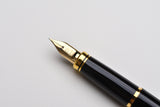 Platinum Classic Maki-e Fountain Pen - Brush Warbler