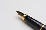 Platinum Kanazawa Gold Leaf Fountain Pen - Goldfish