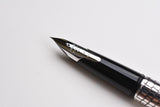 Pilot Silvern Fountain Pen - Ishidatami