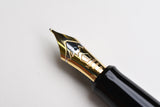 Pilot Namiki Chinkin Fountain Pen - Bamboo and Sparrow