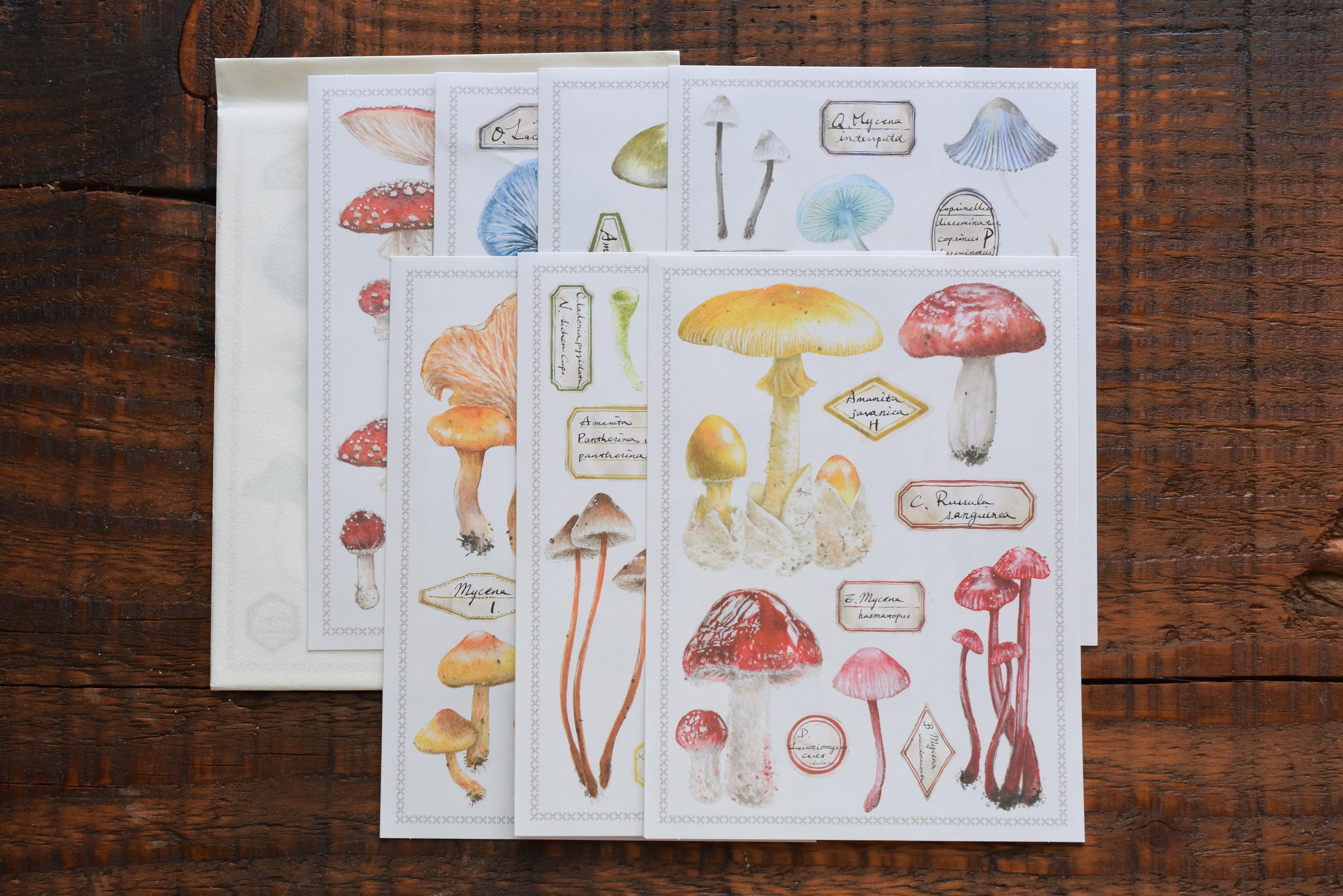 LCN Stickers - Fungus