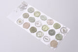 Sealing Dear Clear Sticker - Green