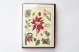 Christmas Botanica Boxed Notes