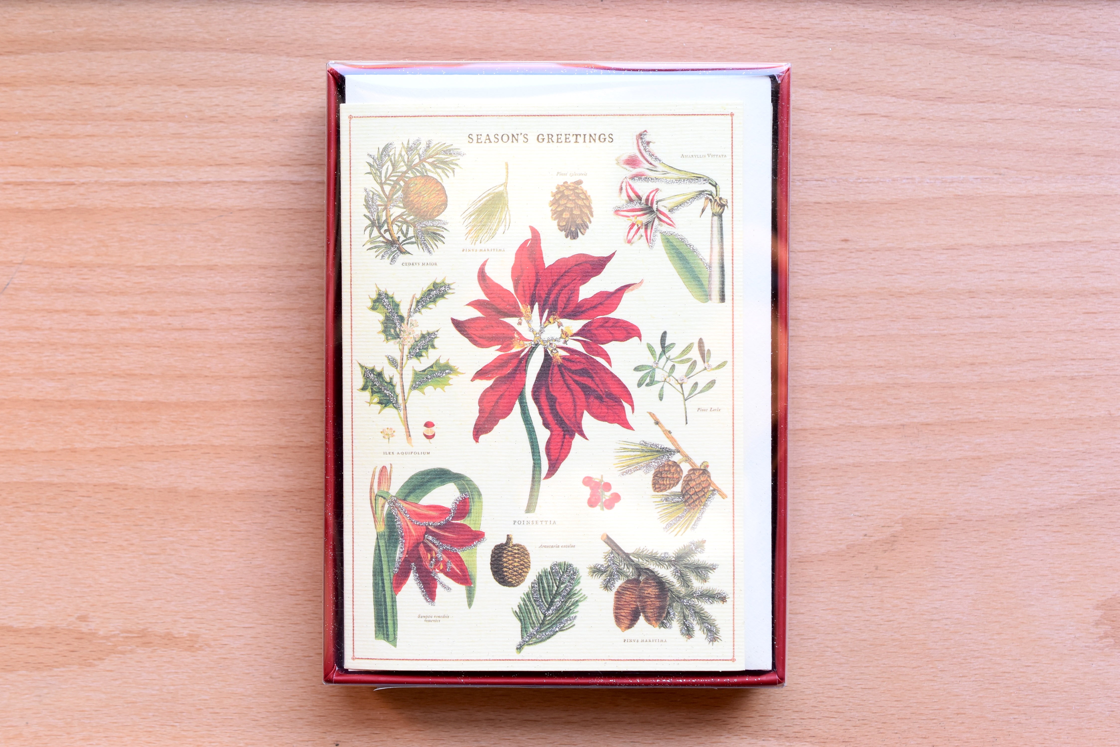 Christmas Botanica Boxed Notes