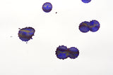 Diamine Shimmer Ink - Cobalt Jazz - 50mL