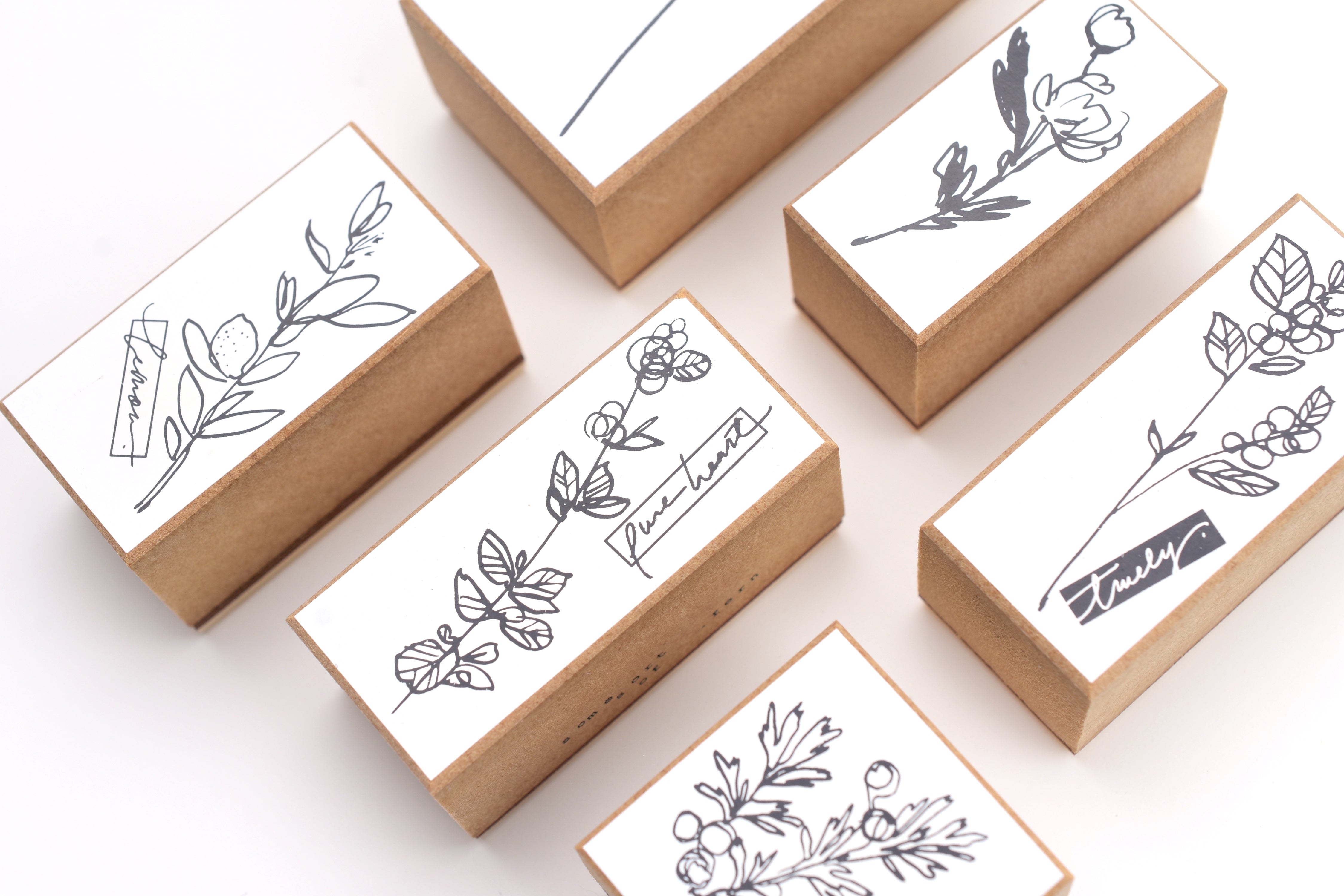 Some Sort of Fern Stamp Set - Birthday Flowers