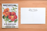 Garden Variety Vintage Postcards